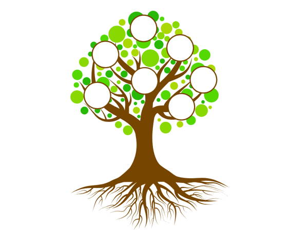 Course Family Trees: Using FamilySearch.org image 1