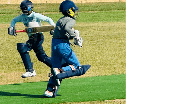 Course Cricket image 2