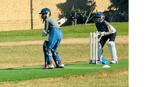 Picture for Cricket