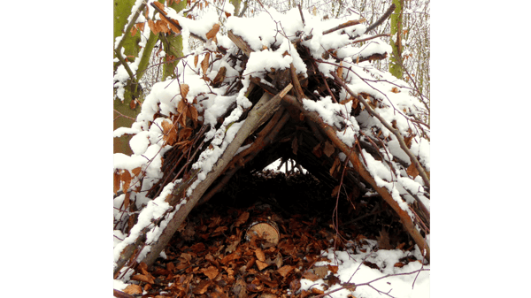 Course Winter Survival image 1