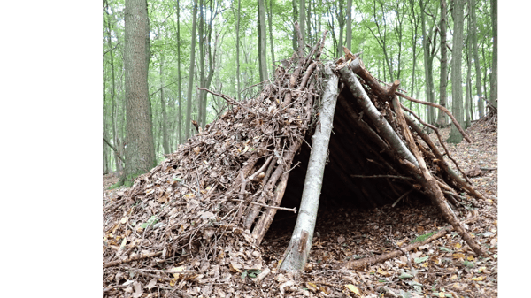 Course Ultimate Survival image 1