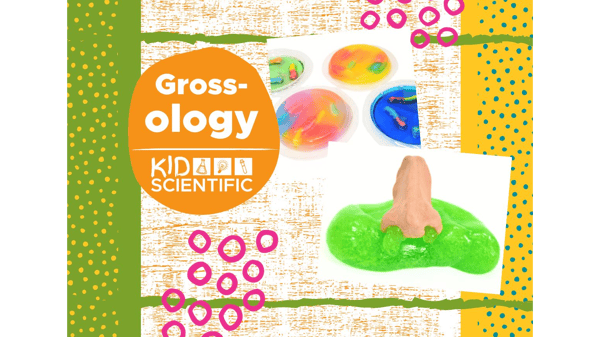 Image for Grossology