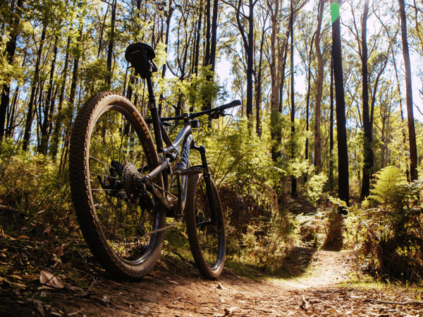 Picture for: Mountain Bike Race Ready!