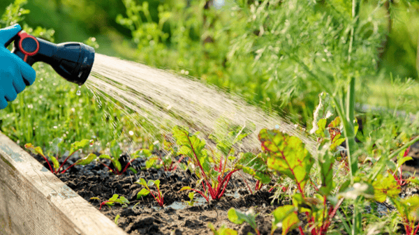 Picture for: Extending the Growing Season