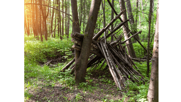 Picture for Middle School Wild Teen Survival Camp
