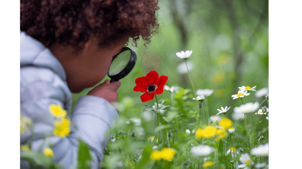Picture for: Little Nature Explorers