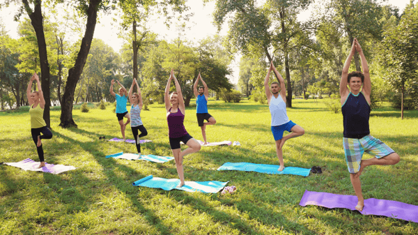 Picture for: Outdoor Morning Yoga Flow