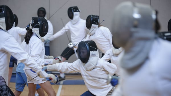 Picture for Fencing