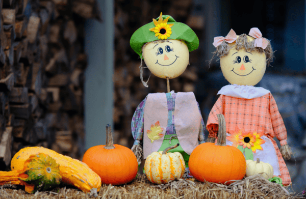 Image for Cozy Fall Decor Studio