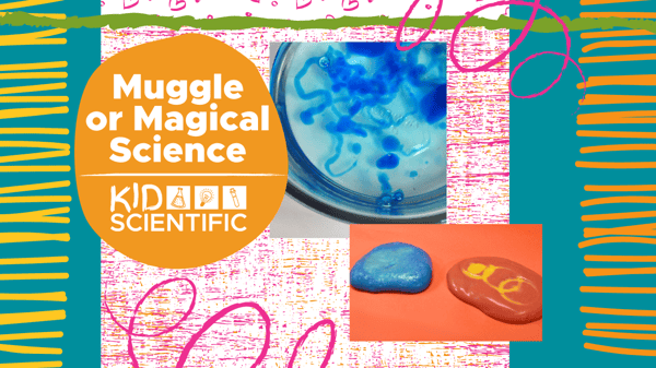 Picture for Muggle or Magical Science