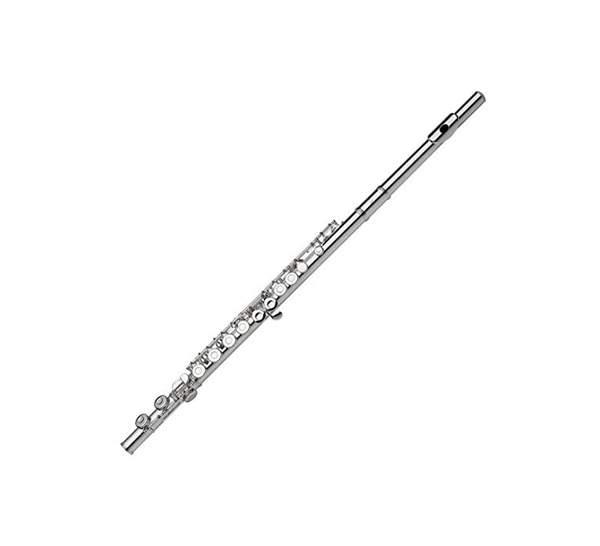 Course Beginning Band Flute image 1