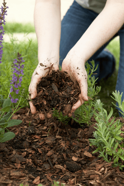 Course Fall into Winter image 1