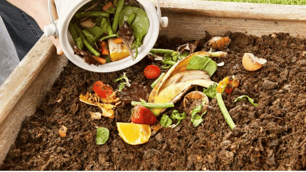 Course Home Composting image 1