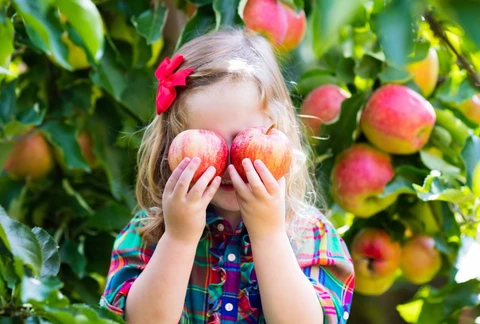 Course Afton Apple Orchard image 1