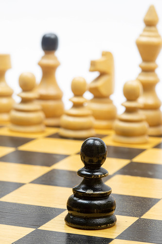 Course Chess N' Motion Camp image 1