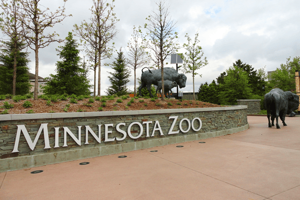 Course Friday Field Trip: Minnesota Zoo image 1