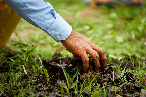 Course Gardening with the Masters: Home Composting image 1
