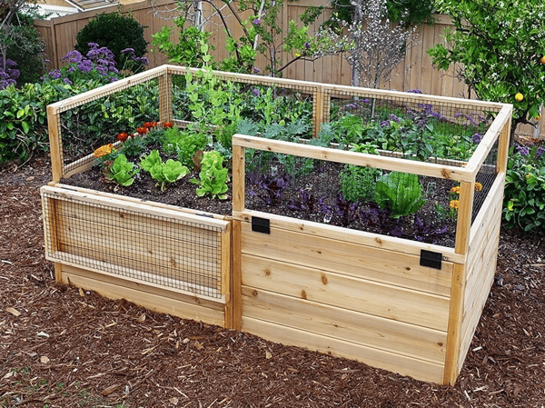 Course Gardening with the Masters: Container Gardens image 1