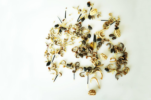 Picture for: Gardening with the Masters: All About Seeds