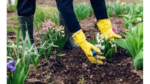 Course Gardening with the Masters: Spring Into Summer image 1