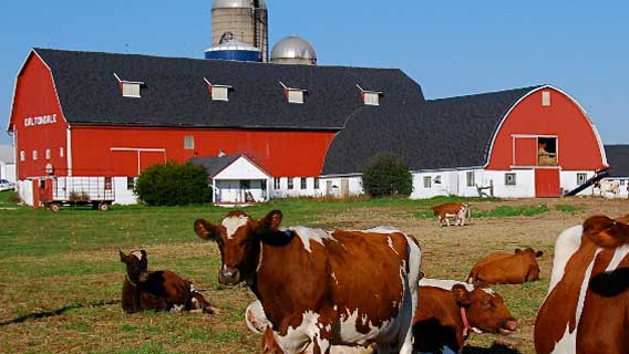 Course All About Farms image 1