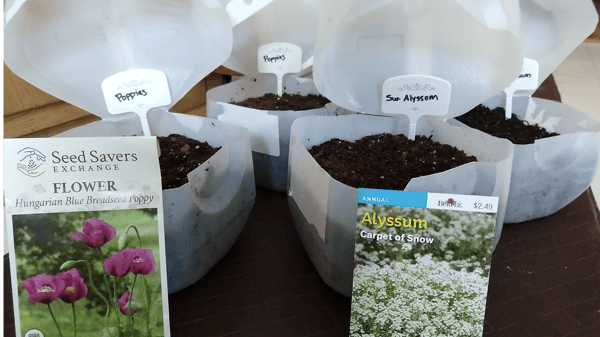 Picture for: Gardening with the Masters: Winter Sowing
