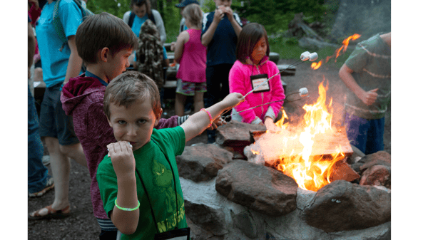 Course NEW! Sleepaway Camp at Wolf Ridge image 1