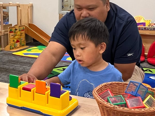 Picture for: Family Playtime (Non-Separating)