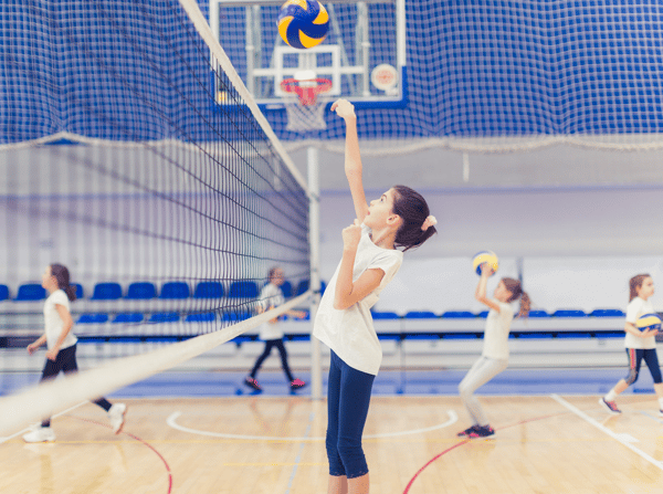 Picture for Volleyball