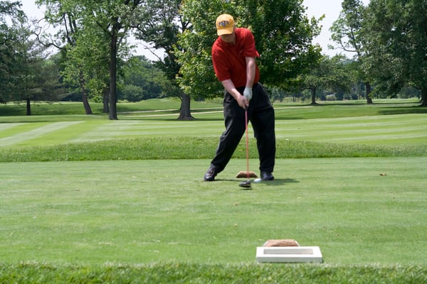 Course Learn the Basics of Golf image 1