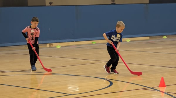 Image for Floor Hockey