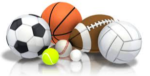 Picture for Soccer, Flag Football & Gym Games Jr.