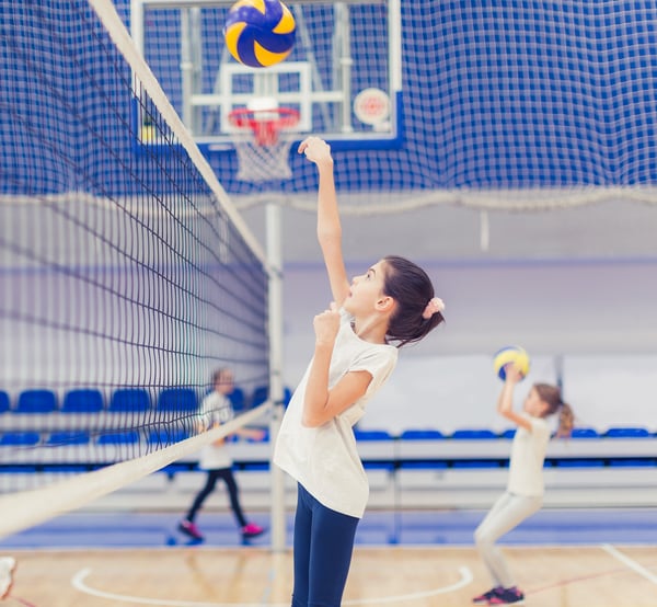 Picture for: Volleyball Skills