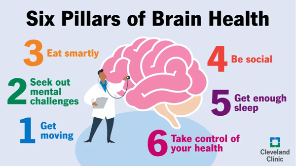Picture for: The Healthy Brain