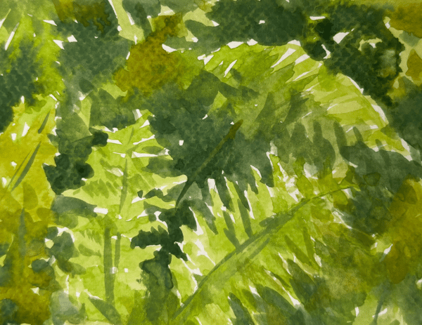 Course Watercolor: Flowers and Ferns Card Making (Edison) ONLINE image 1