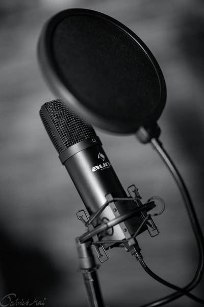 Picture for Voice Acting (Grades 4-6)