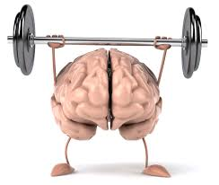 55+, brain, wellness