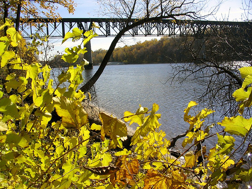 Picture for Mississippi Explorers (Gr. 3-5)