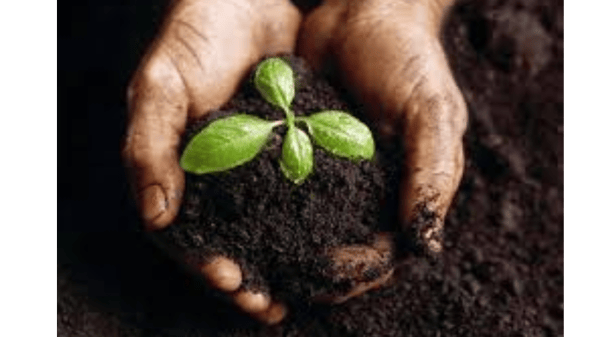 Course Backyard Composting (Washburn) image 1