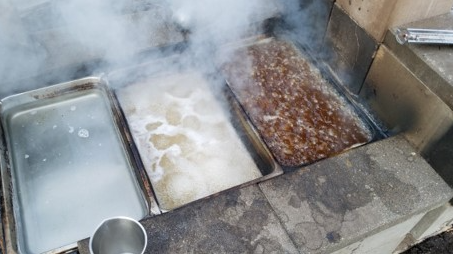 Course Backyard Maple Syruping: Evaporator Visit (Southwest) image 3