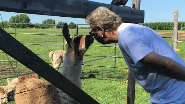 Course Carlson's Llovable Llama Farm (Roosevelt 55+) image 2