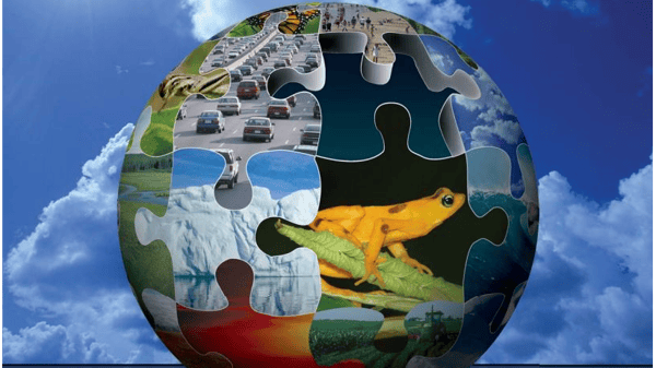 Course Simple Actions for Our Climate Crisis (Edison) image 1