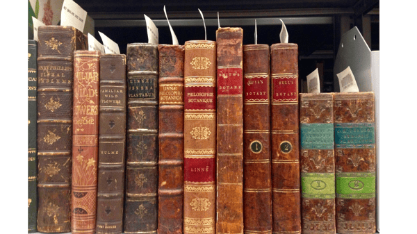 Course Rare Books: Treasures from the Vaults (Roosevelt 55+) image 1