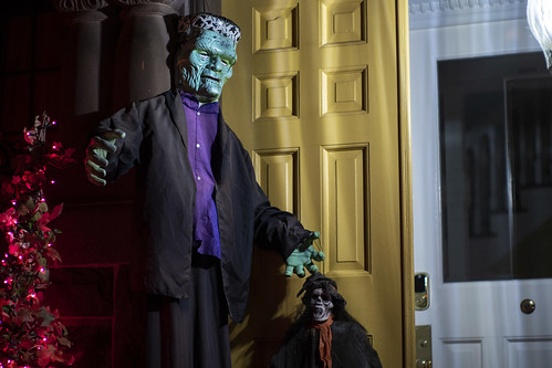 Picture for: Family Halloween Party (Southwest)