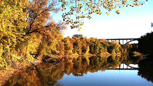 Picture for Native American: Dakóta-Led Plant Walk & Storytelling w/ Blue Hummingbird Woman (Southwest)