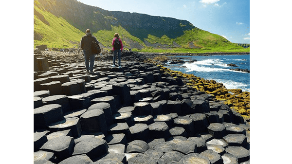 Trips, Tours & Events