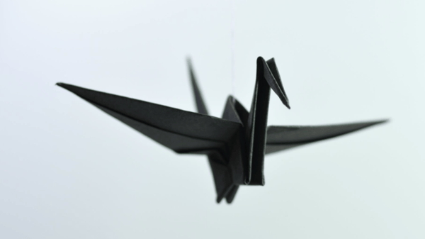 Picture for Origami Workshop (Southwest)