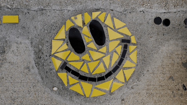 Picture for: ACCESS - Mosaic Octopus (South)