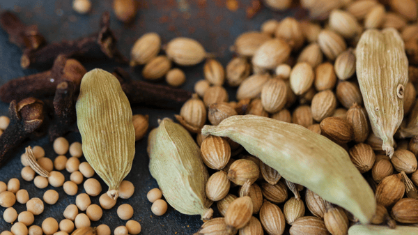 Course Gardening: Raised Bed Square Foot Gardening (Edison) image 1