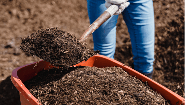 Picture for Compost: Free Fertilizer for Your Thriving Garden (Camden)